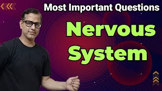 Nervous System Class 10 ICSE | Most Important Questions Nervous System | @sirtarunrupani