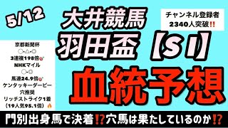 【羽田盃予想】5/13大井競馬羽田盃血統予想～門別出身馬がやはり強いのか？穴馬の台頭はあるのか⁉️