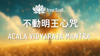 快速安定心靈⚡【不動明王心咒】 強大淨化磁場 去除負能量Acala Vidyaraja Mantra