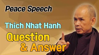 Question and Answer [Thich Nhat Hanh peace Speech 11]