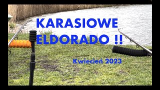 Feeder klasyczny i ryba za rybą ! Najskuteczniejsza przynęta na duże wiosenne karasie. Method feeder