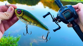 Jerkbait Fishing for Pike! (canal fishing)