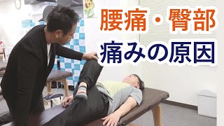 腰痛、臀部の痛みの原因がわかる検査法【疲労回復協会セミナー】