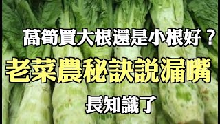 萵筍買大根還是小根好？老菜農不經意間說漏嘴，長知識了