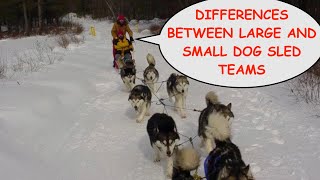 Mushing with a Big  Dog Sledding Team compared to a Small Team: Episode #77