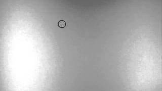 Bouncing Ball [Traditionally Animated Test]