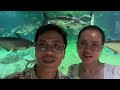 visiting angkor wildlife u0026 aquarium ពិភពក្រោមទឹក​ និងសត្វព្រៃនៅសៀមរាប