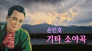 손인호-기타소야곡/영상출연 가수 보배