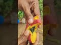 சவுரி பழம் 🍒 shotsfeeds shots gardening terracegardens homegarden herbs madithotam