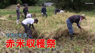 種子島の伝統行事：令和5年度宝満神社赤米収穫祭 神事・手刈り・脱穀作業