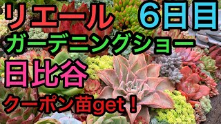 【多肉植物】20022年10月27日リエールガーデニングショー日比谷に行ってきた！先着10名様のプレゼントクーポン苗を貰うことができた！