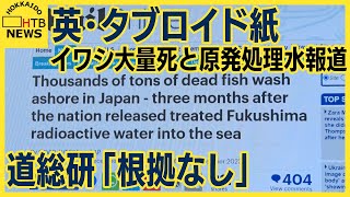 英タブロイド紙　函館のイワシ漂着と原発の処理水放出の関連を示唆する記事　記者に問い合わせるも返信なし