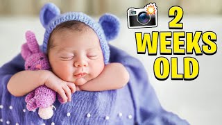 Baby Blu's First Ever Photoshoot! *2 Weeks Old*