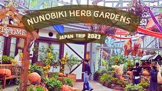 Nunobiki Herb Gardens สวนสมุนไพรนุโนบิกิ ที่อยู่ในเมืองโกเบ (Kobe)