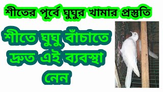 শীতের পূর্বে ঘুঘুর খামার প্রস্তুতি।। শীতে ঘুঘু পাখির যত্ন।।How to care dove bird in winter