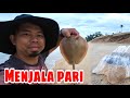 HATI-HATI NAK MANDI LAUT!!BANYAK IKAN PARI TEPI PANTAI! |MENJALA PARI TEPI PANTAI TERENGGANU