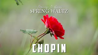 Spring Waltz (Mariage D' Amour) 4k - Frédéric Chopin