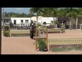 wef 10 valeda 3 3 15 17 equitation