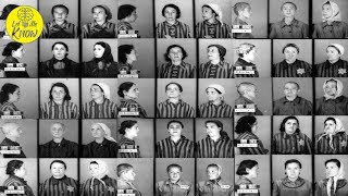 Experts Opened A Secret UN Archive And Discovered Holocaust Documents That Rewrite History