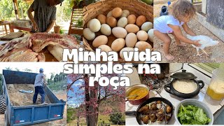 Dia de fartura de carne na roça/ Almoço no fogão de lenha e levamos areia para começar a construção