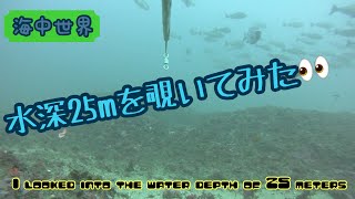 海中世界‼️ 水深20mから30mを覗いて見た。　Underwater world!  ️ I looked into the water depth from 20m to 30m.