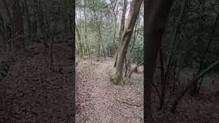 明神山　奈良県王寺町　その2