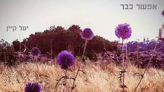 אפשר כבר / יעל קלו מור - יעל קיין