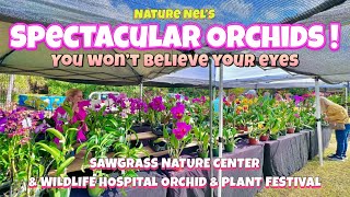 Wait to you see this orchid festival. The orchids are on a whole other level. Lots of Cattleyas!