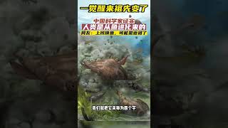 人類的祖先是魚？ 中國科學家證實人類是從魚進化而來 網友：所以摸魚可能是返祖現象  #進化 #震驚世界#Shorts