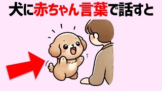 必見！【犬の雑学18選】犬好きなら誰もが共感する犬の不思議な行動に隠された秘密 #雑学 #豆知識 #トリビア