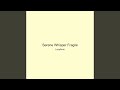 Serene Whisper Fragile