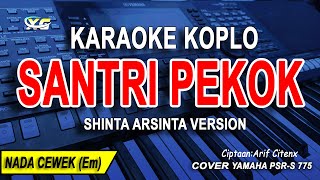 Santri Pekok Karaoke Koplo Pargoy (Nada Wanita) Shinta Arsinta Version ||Cipt:Arif Citenx