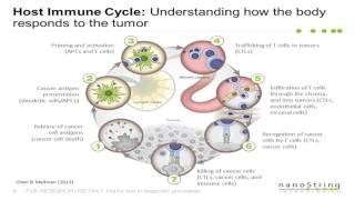 Unraveling the Complexities of Immuno Oncology with 3D Biology™ Technology