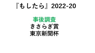 『もしたら』事後調査【きさらぎ賞・東京新聞杯】2022-20