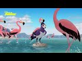 the lion guard flamingo dance party music video disney junior arabia