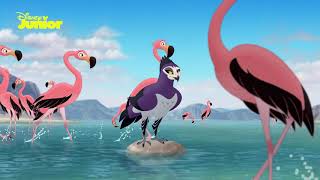 The Lion Guard | Flamingo Dance Party Music Video | Disney Junior Arabia