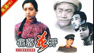 花落花开004（主演：杜源，江珊，牛犇，唐汤民，王雁）