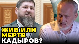 😱 ЗАКАЄВ: Кавказ отримав історичний шанс, путін злякався Кадирова, Грузія перетвориться в Білорусь