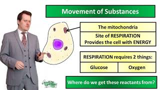 Movement of Substances (Diffusion) - Biology - Key Stage 3 - Mr Deeping