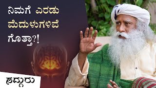 ನಿಮ್ಮ ಎರಡನೇ ಮೆದುಳಿನ ಅದ್ಭುತ ಶಕ್ತಿ! | The Incredible Power of Your Second Brain | Sadhguru Kannada