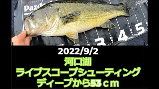 河口湖バス釣り　ライブスコープ　＃22イグジストドラグ音　#河口湖ライブスコープ