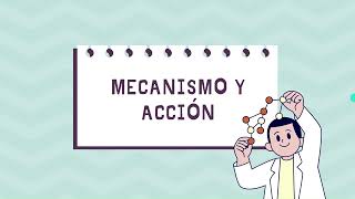 251. MECANISMO DE ACCIÓN DE LA MIRTAZAPINA (ANTIDEPRESIVO) EN EL CEREBRO. Alicia Cortijo Prieto.