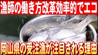 【サステナブル漁業】岡山県の漁師が行う「受注漁」って何？ 日本財団 海と日本PROJECT in  岡山 2024 #03