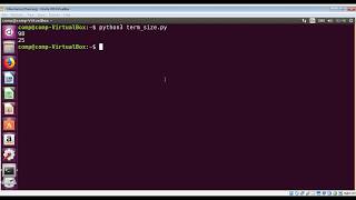 How To get the terminal size in Python