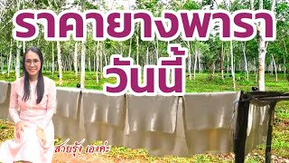 ราคายางพาราประจำวันที่30 ตุลาคม 2563