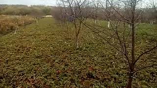 Как заработать на 18 сотках или бизнес на клубнике?