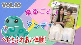 門松みゆきとyayAのまるごとマンデー vol10