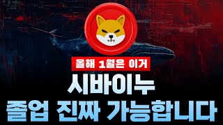 시비아누 이번엔 정말 졸업 가능할 듯 합니다