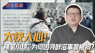 張彬：詆毀英烈，為何是尋釁滋事罪？