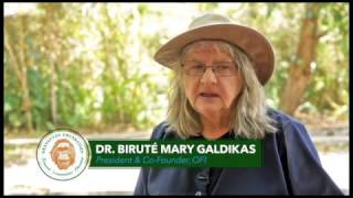 Dr Birute Testimonial